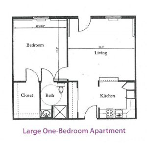 Large One Bedroom Apartment