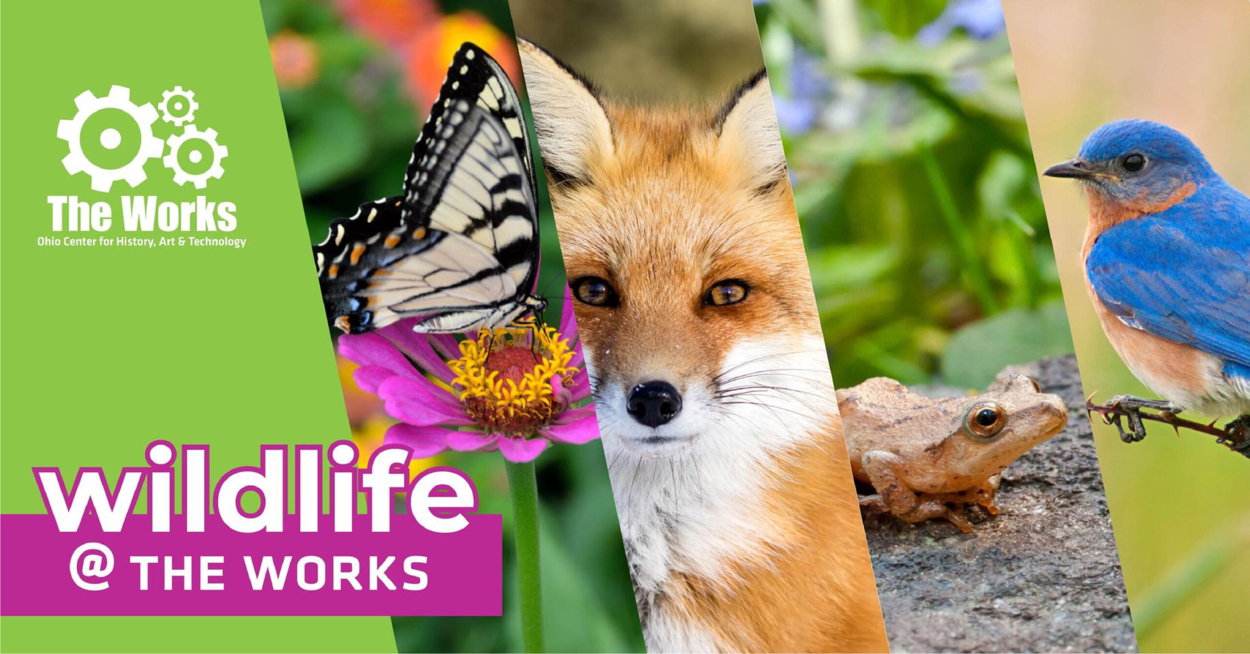 Wildlife at the Works