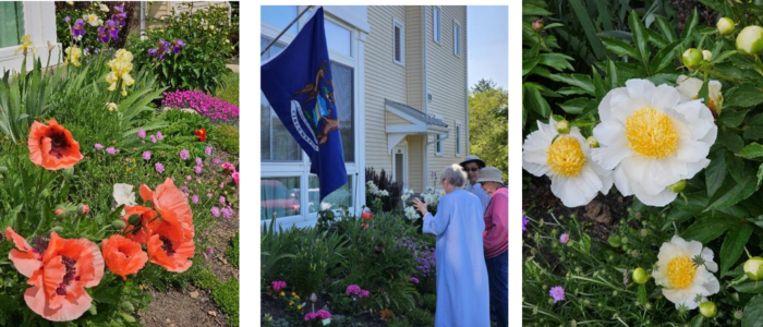 Multiple flowers around the Otterbein Granville community. 