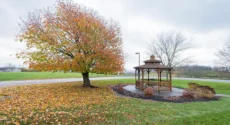 OSL_GreenHill-1