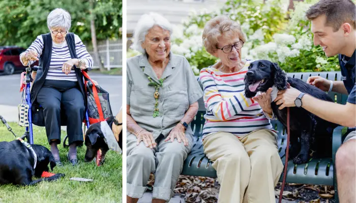 Residents with pet dogs