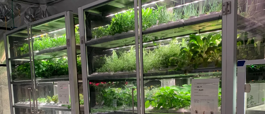 Hydroponic plants featured at Otterbein Lebanon