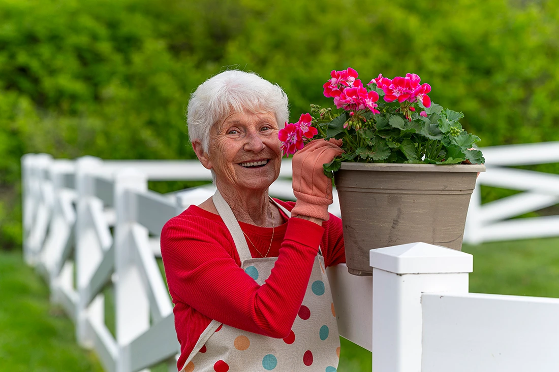 Otterbein Tipp City resident admiring flowers outdoors by a white fence