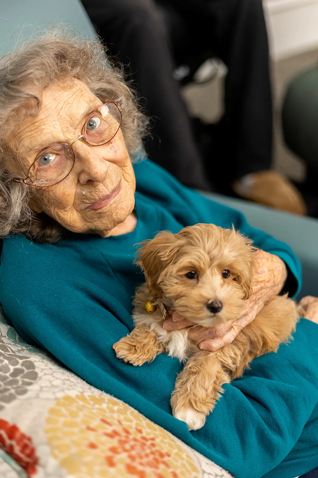 Otterbein Perrysburg elder holding a puppy on her lap