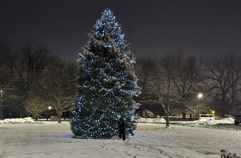 Tree of Hope Lit Tree