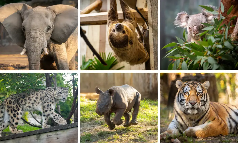 Cleveland Metroparks Zoo